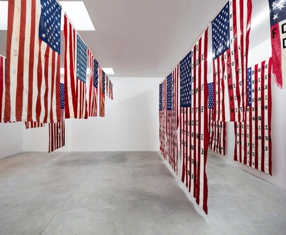 Cali Thornhill Dewitt’s 29 Flags