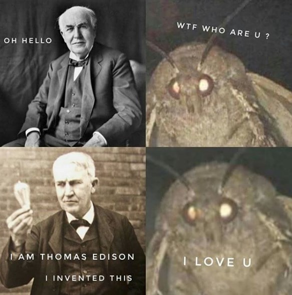 moth memes viral instagram twitter 14