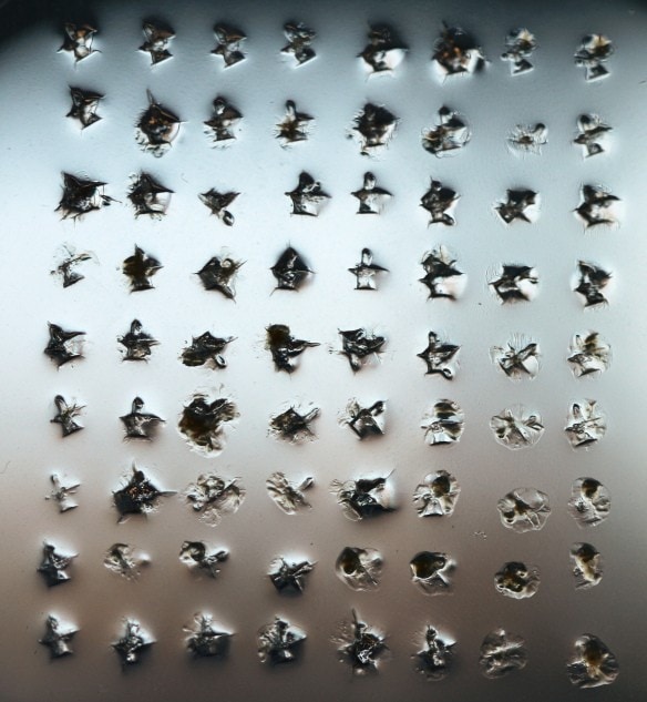 simon-park-bacteria-ciphers-2 14