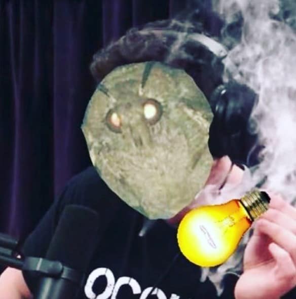 moth memes viral instagram twitter 1