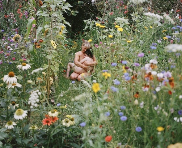  Si&#226;n Davey, The Garden 4