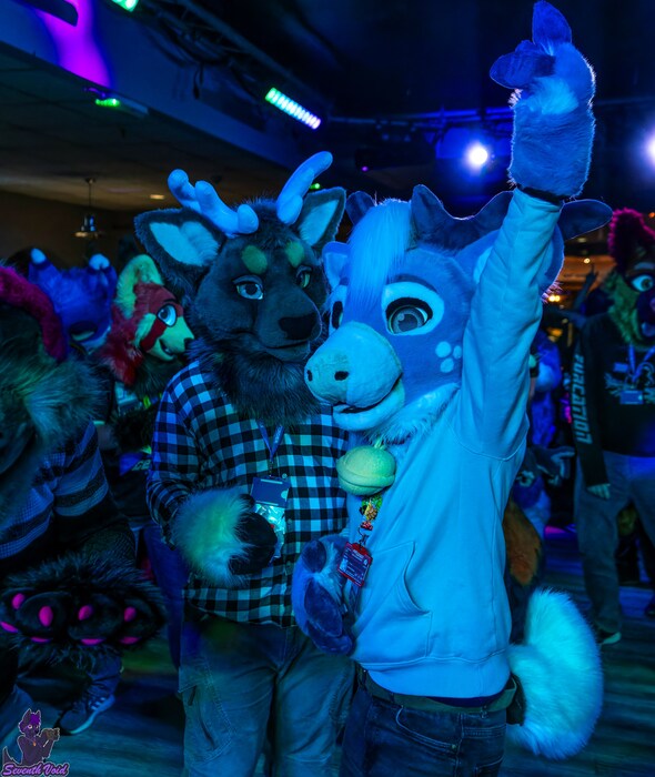 How furries became the most misunderstood fandom in the UK Dazed