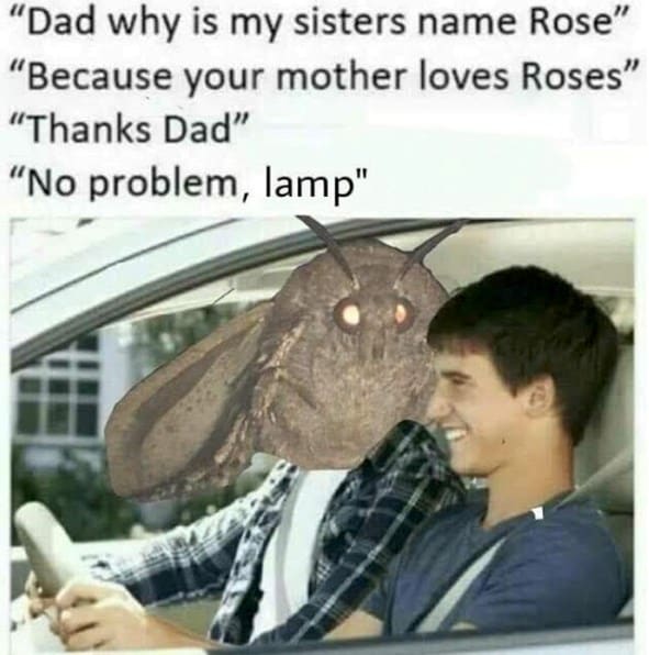 moth memes viral instagram twitter 13