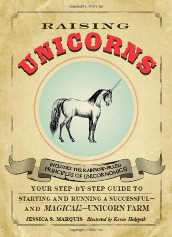 unicorn book
