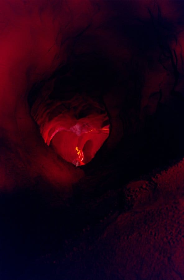 Ryan McGinley 2