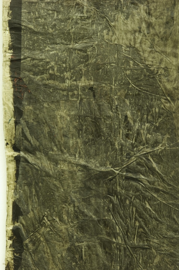 surrogate skin #2, 2008 pigment/mixed media 59.5 1