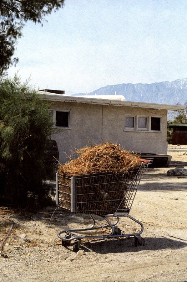 &quot;Sad groceries&quot; by Peter Sutherland 0