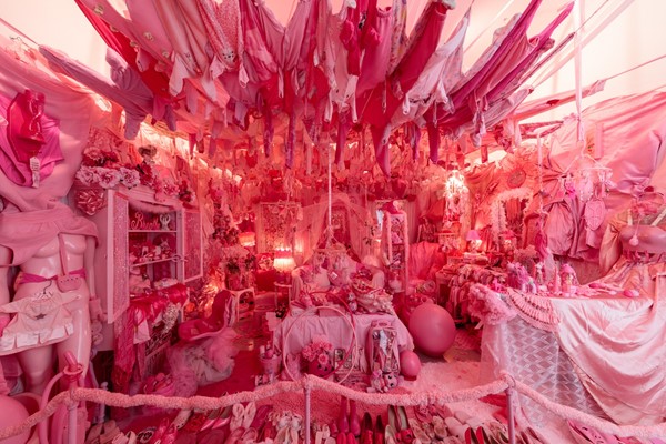 Dildos, tampons and fake nails: inside Portia Munson's Pink Bedroom