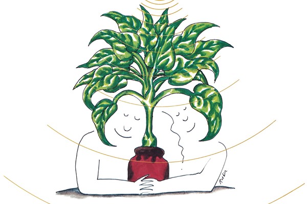 The strange story of Mort Garson's magical album Plantasia
