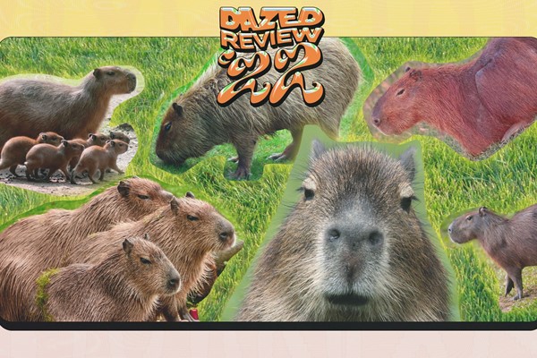 2022 was the year of the capybara