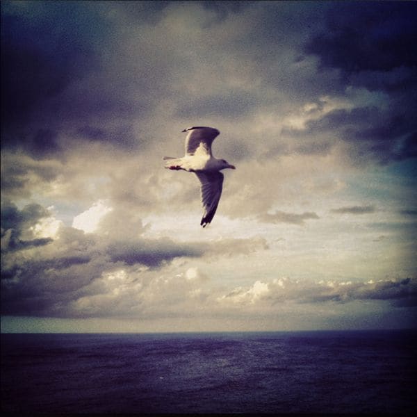 Instagram 1
