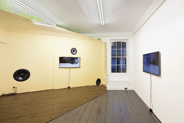 7. Eddie Peake and Prem Sahib, Feel Up, 2012 (inst 1