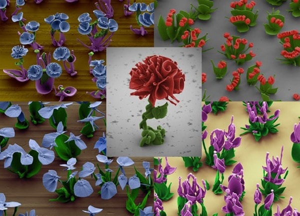 flower_3