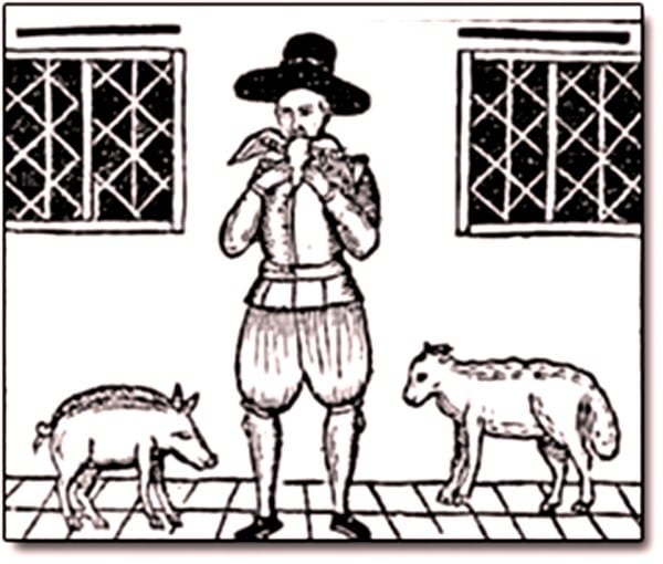 Tarrare