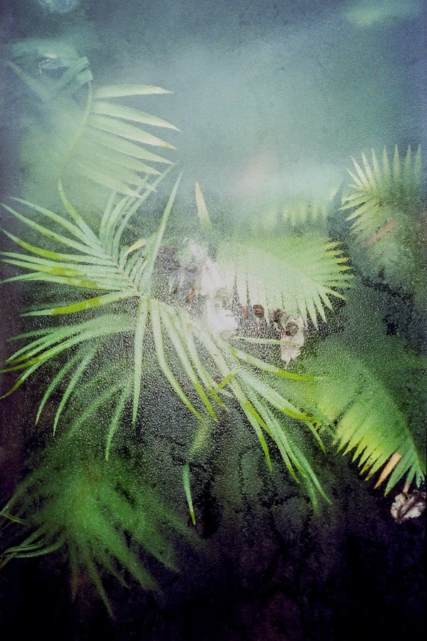 Birk Thomassen 3