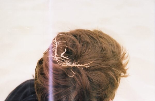 'Roots' by Michelle Anderson 7