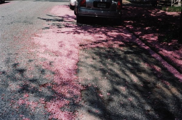 'Void' by Sheena Callage 3