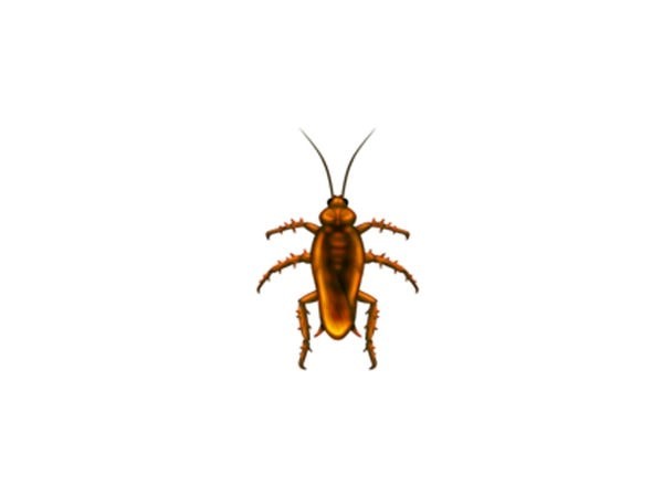 Cockroach emoji