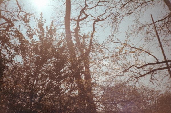 Image 17