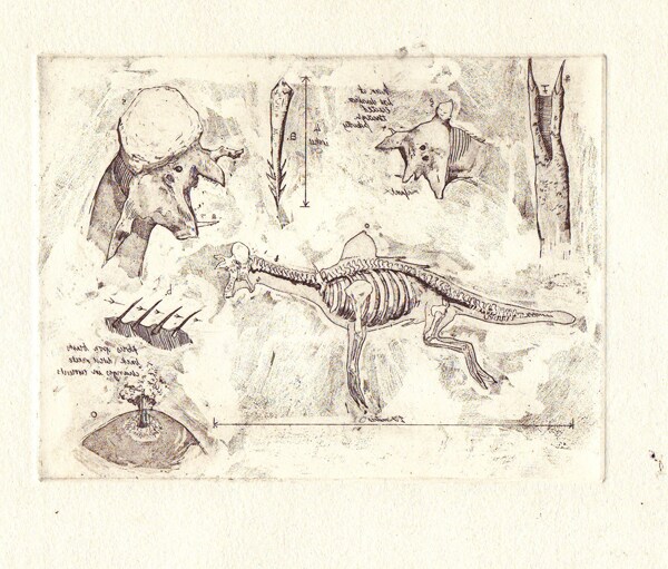 Anatomy of a sea monster in mirror- James Trimmer 0