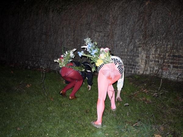 Image 13