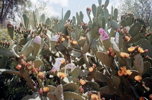 Image 6