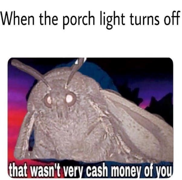 moth memes viral instagram twitter 8