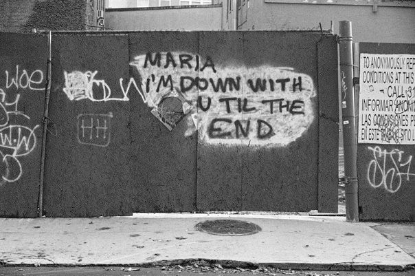 550501_10150787972625286_1480465152_n 8