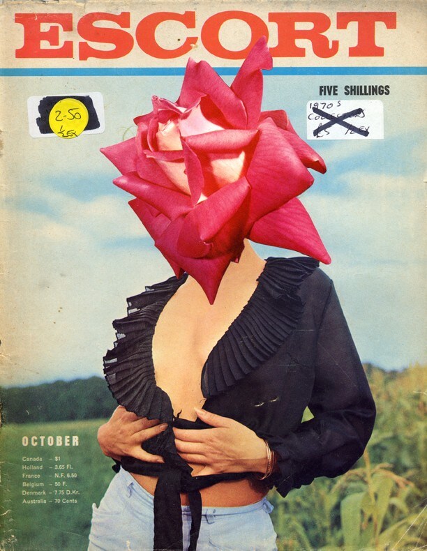 Linder Sterling, Corner House Publishing, Dazed 0