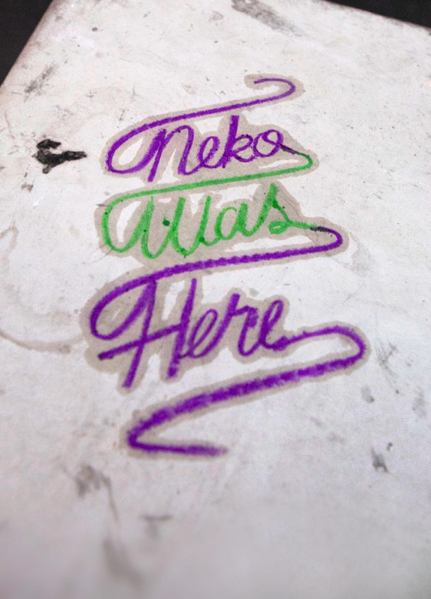 Photo by Falansh from One Name Army by Neko 5