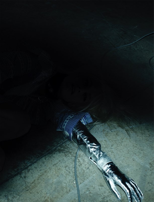 Willy Vanderperre silver glove 6