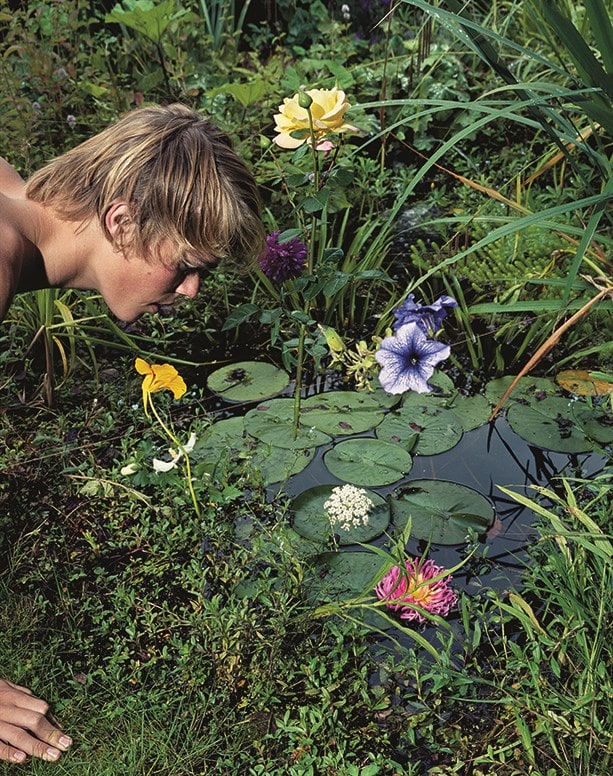 The Photographer in the Garden 2