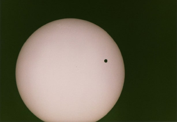 Venus Wolfgang tillmans
