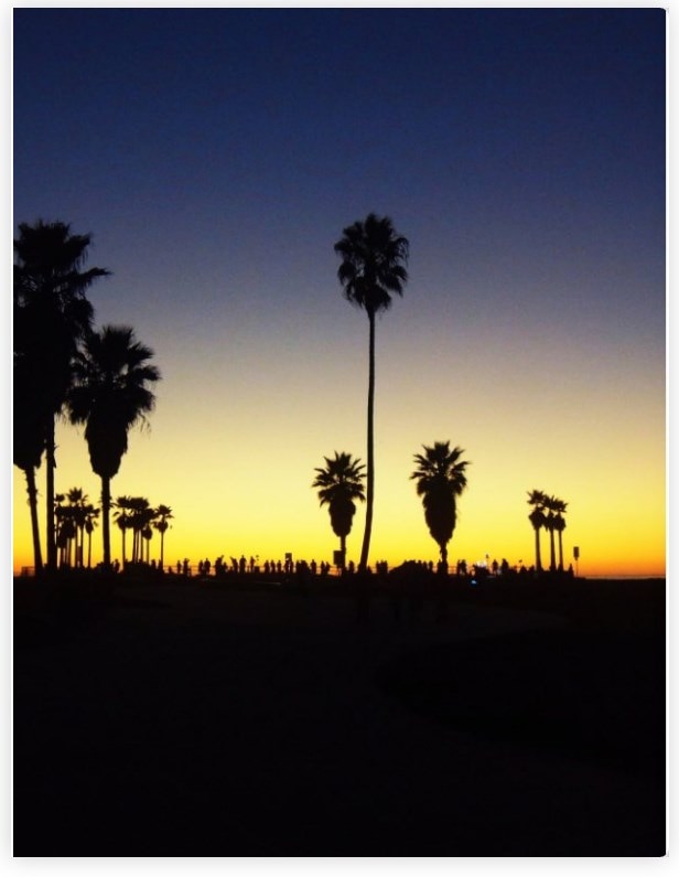 Robert Lang Venice Beach 5