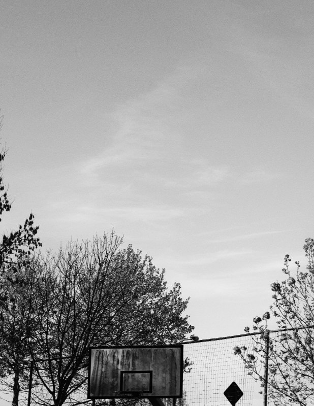 Willy Vanderperre basketball ring 3