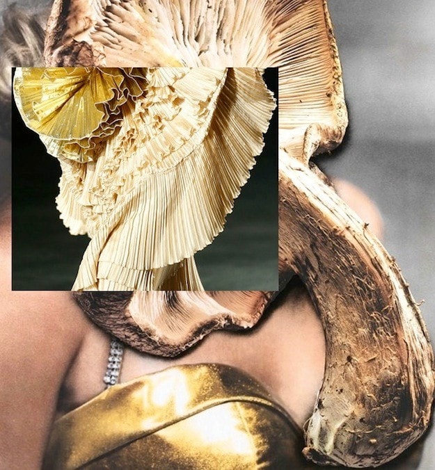 4_DRIES_VAN_NOTEN
