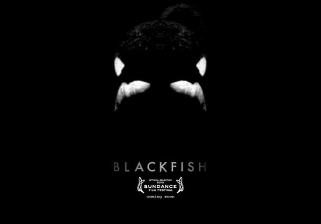 Blackfish poster 9