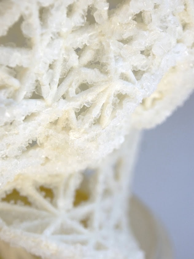 Growing (Close up 2) 6