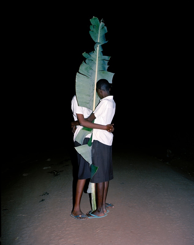 Image 31