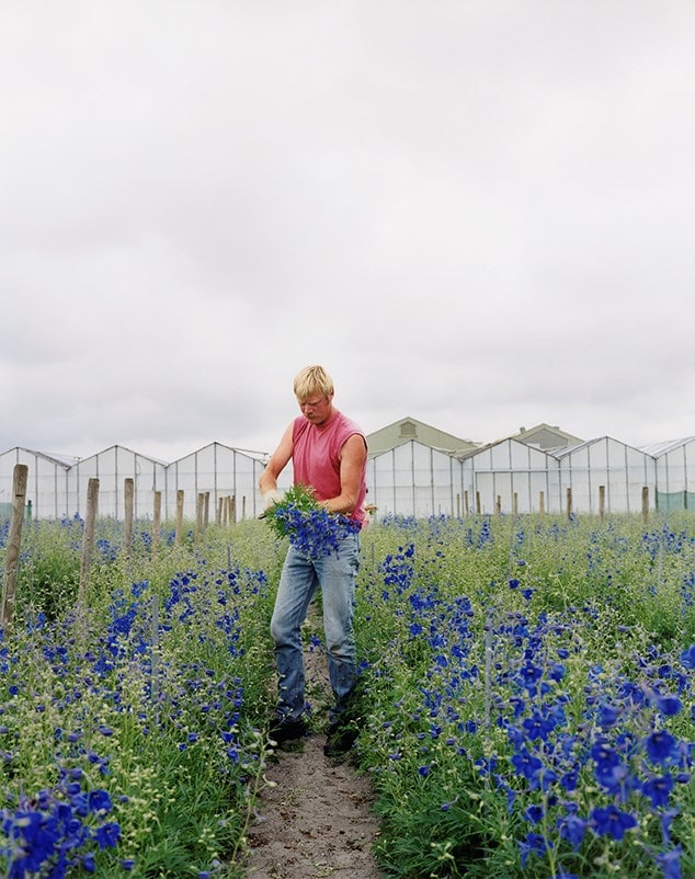 The Photographer in the Garden 10