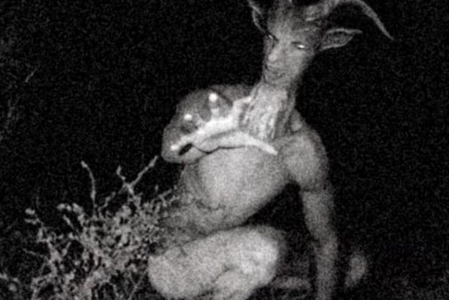 Cryptid – Goatman