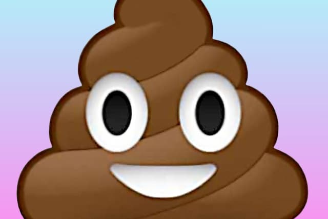 poop emoji