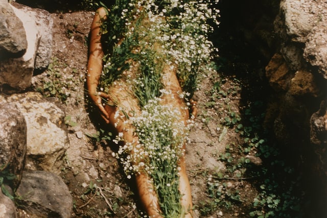 Laid Bare in the Landscape - Ana Mendieta