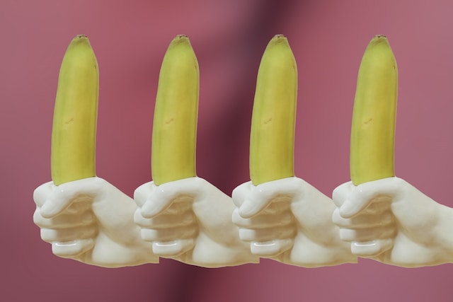 penis