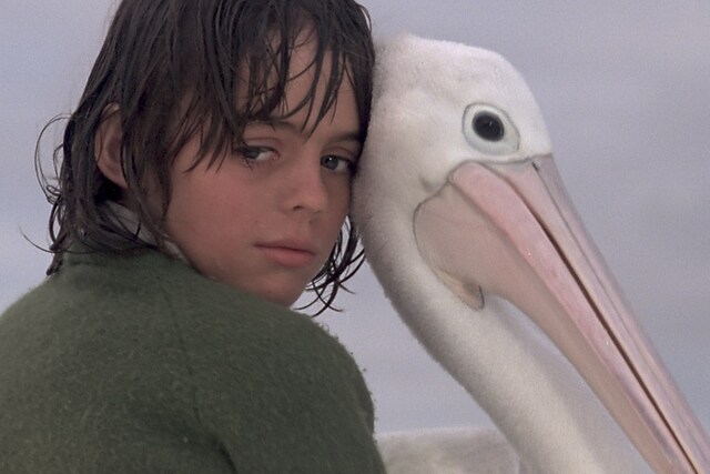 Storm Boy