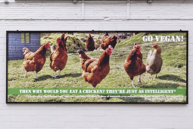 "If you wouldn't eat your dog...", 2010