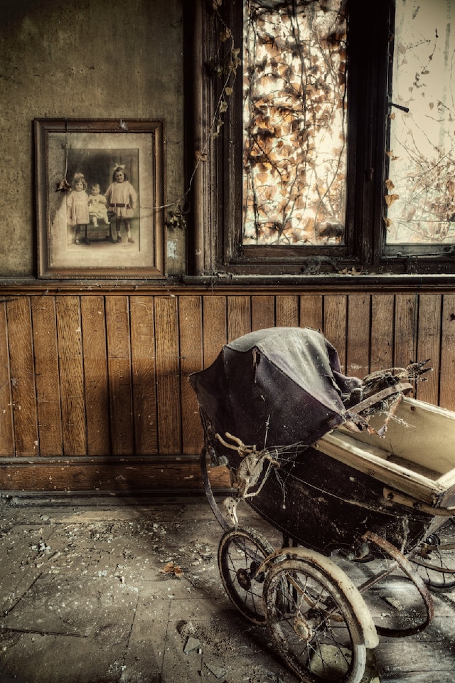 The Pram - Gina Soden 0