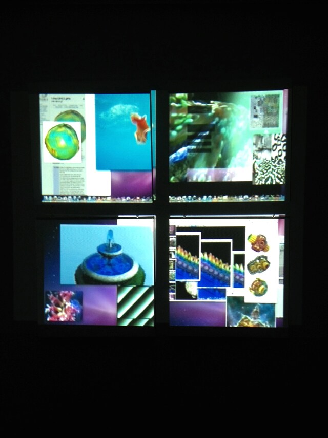 installation view, 2012 1