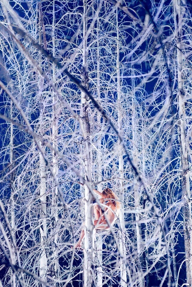 5_RyanMcGinley_Dead_Forest 8