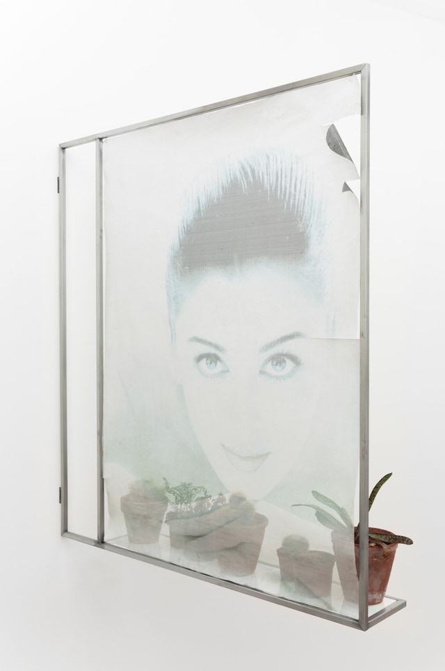 5) Gabriele Beveridge, In A Normal World I&#39;d Be Th 4